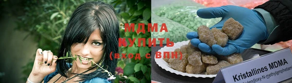 прущие грибы Вязьма