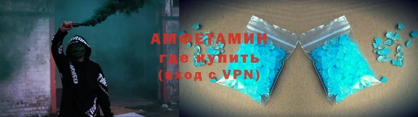 прущие грибы Вязьма