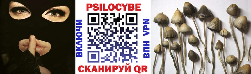 Псилоцибиновые грибы мицелий  наркошоп  Высоцк 